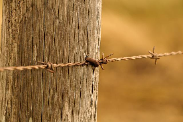 Everything You Need to Know About Barbed Wire Fence