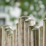 Pressure Treated Wood Fence: Everything You Need to Know