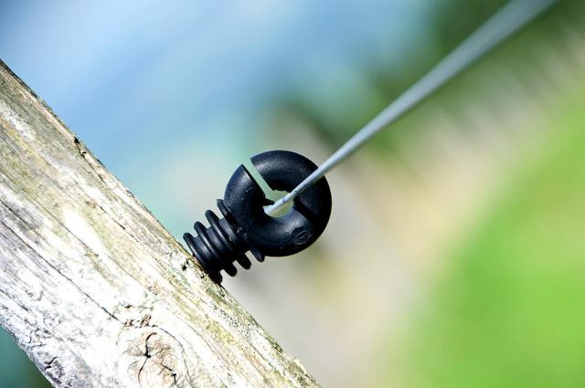 Everything You Need to Know About Electric Fence Insulators
