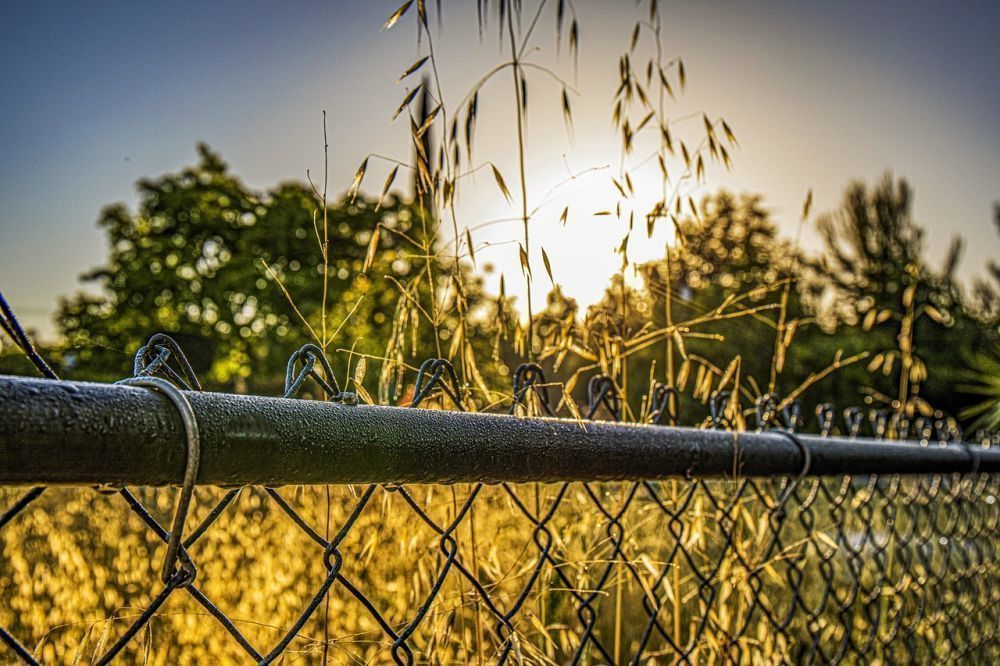 How Tall Is a Standard Chain Link Fence?