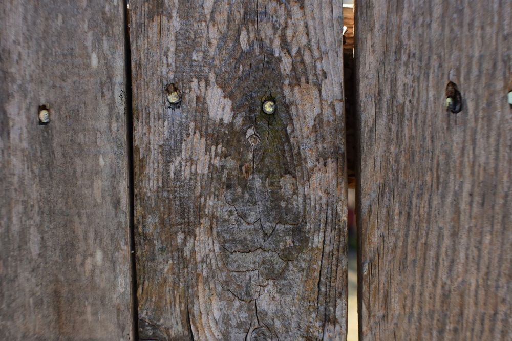 How to Tell If You Need a New Wood Fence