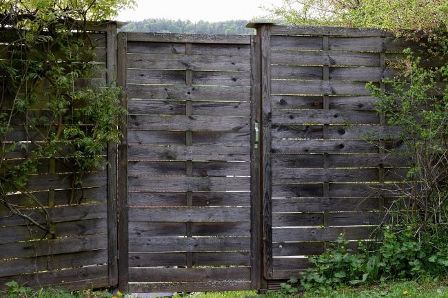 Privacy Fence 101