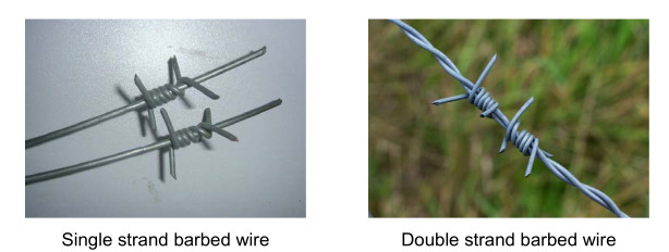 Single and double strand barbed wire