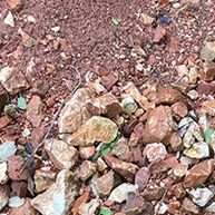 Small rocks and dirt