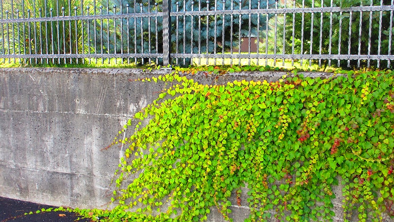 The Complete Guide to Installing a Fence on a Retaining Wall