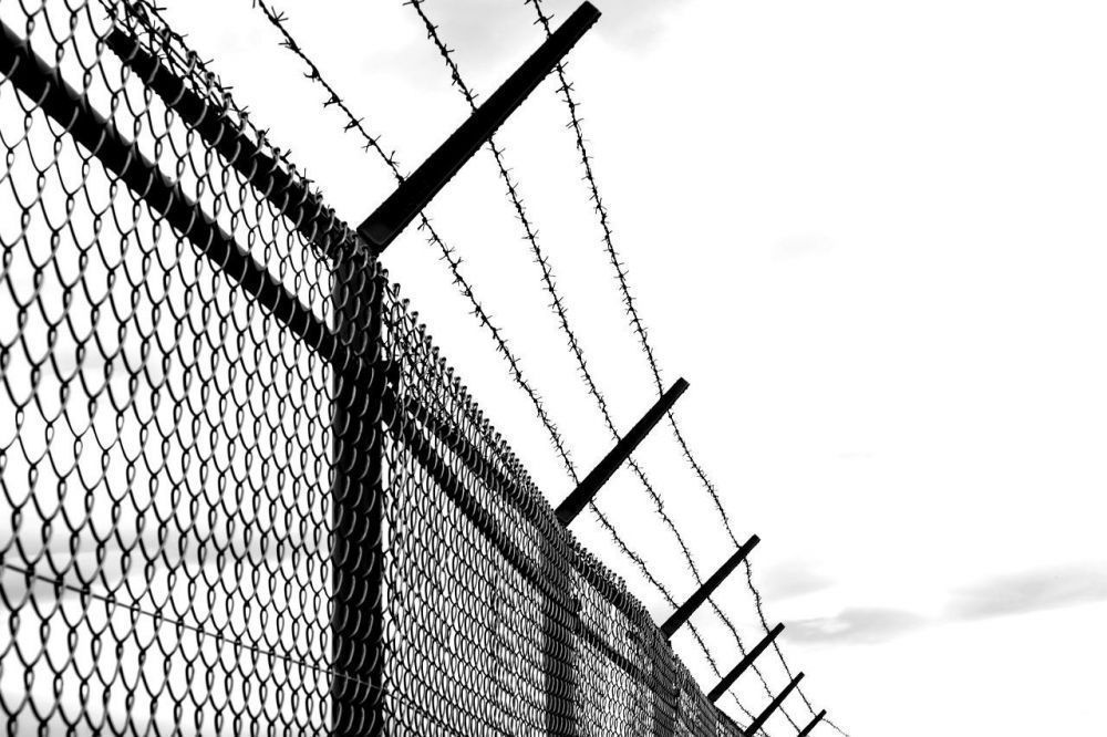 fence top security barbed wire