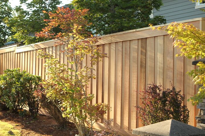The Pros and Cons of Cedar Fencing