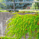 The Complete Guide to Installing a Fence on a Retaining Wall
