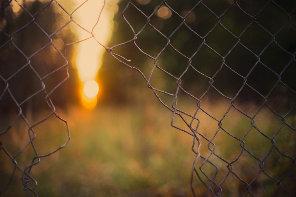 Why Is Welded Mesh Fencing More Secure Than Chain Link Fencing?